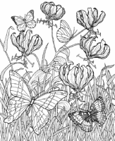 A coloring page of nature in africa